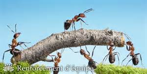 De nouvelles arriv&eacute;es chez Easytri !!!